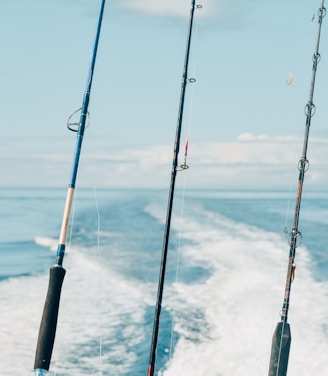 Several fishing rods are secured on a boat, positioned as the vessel moves swiftly across a calm body of water, creating foamy wake trails in the background against a serene blue sky.