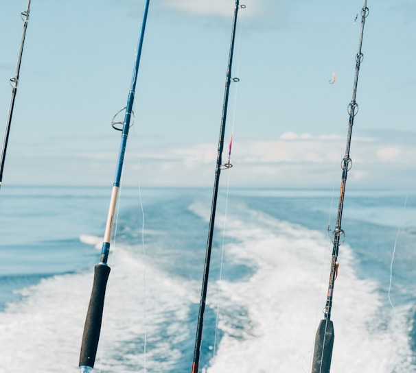 Several fishing rods are secured on a boat, positioned as the vessel moves swiftly across a calm body of water, creating foamy wake trails in the background against a serene blue sky.